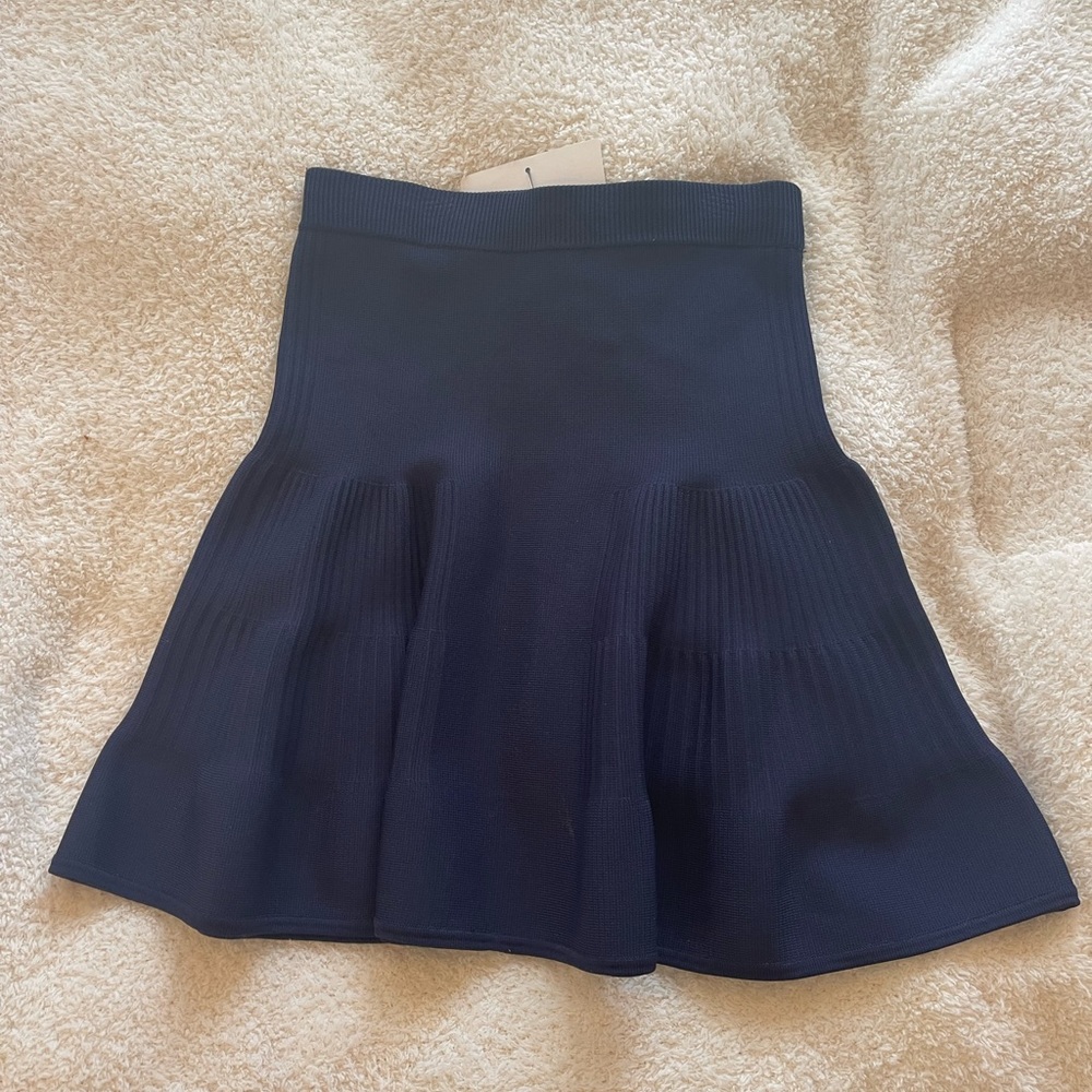 Intermix Skirt